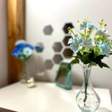 Mmrent Lazy בית אירוח